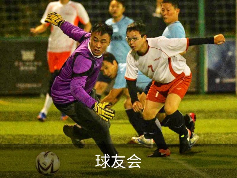球友会简介